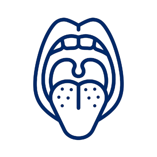 Oral anatomy icon
